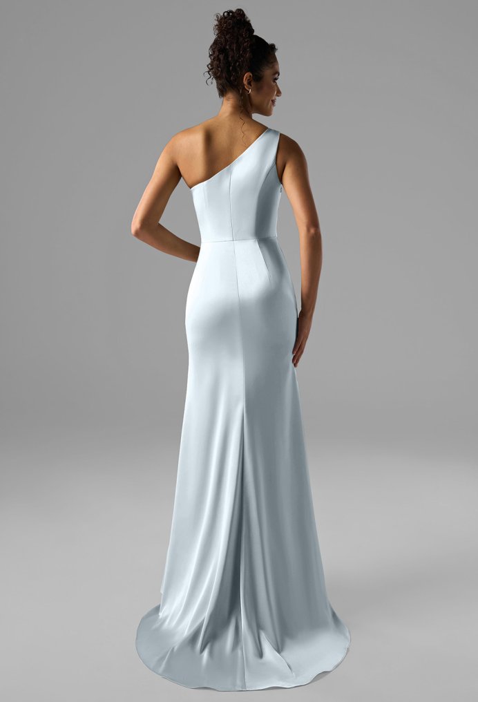 AW Rohan Dress